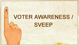 Systematic Voters' Education and Electoral Participation