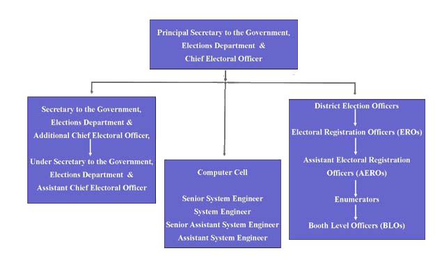 Organisational Chart of the Chief Electoral Officer